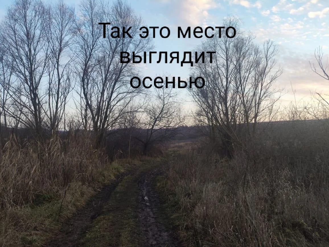 Благоустройство зоны отдыха